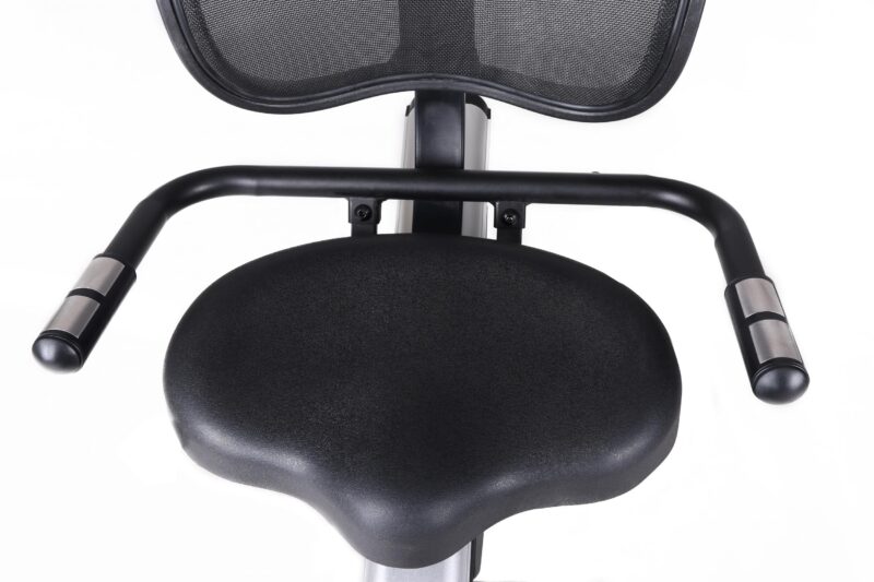 Cyclette recumbent BRX R300 Toorx ChronoLine APP READY - immagine 7